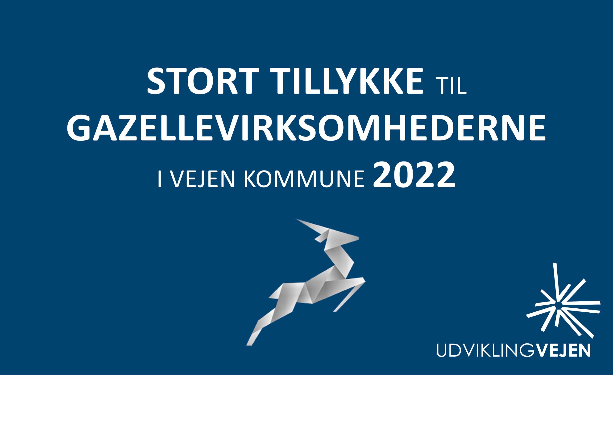 blåt cover nyhedsmail